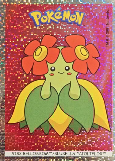 Joliflor Dunkin Boomer 2001 foil