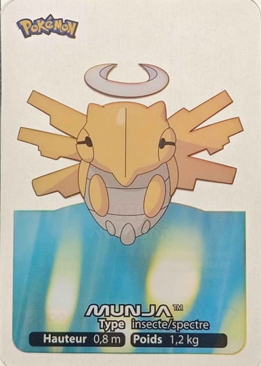 50 Munja Lamicards Pokémon série 3