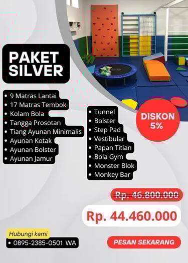 Paket Promo Sensori Integrasi Silver