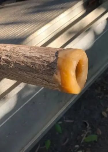 Image sent to RaD didgeridoos of a didgeridoo made by Joe Williams