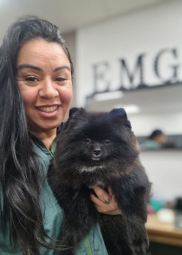 Best Dog Groomer Amsterdam | Professional Dog Groomer | Experienced Pet Groomer