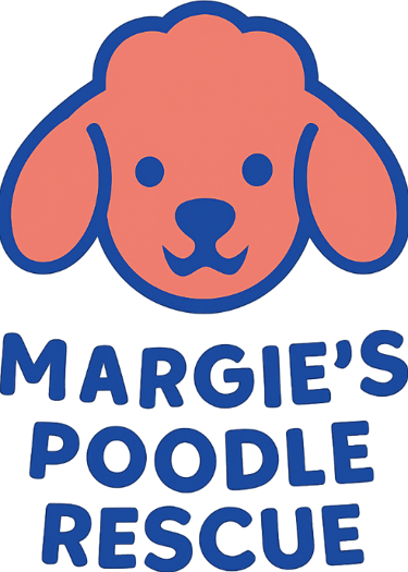 Margie's mini poodle and toy poodle rescue