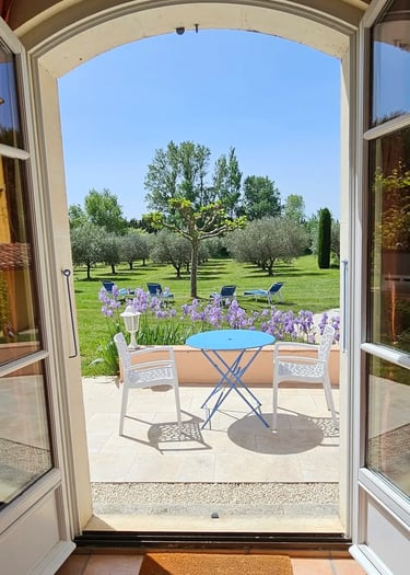 Fenêtre du salon donnant sur le jardin avec vue sur les oliviers