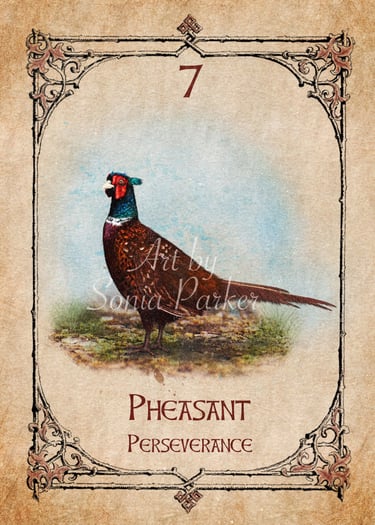 Pheasant card from the animal spirit oracle deck