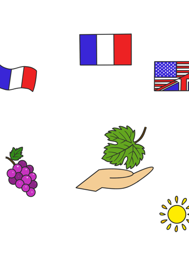 Dessin original de grains de raisins provenant de l'univers de Calnima autrice française indépendant