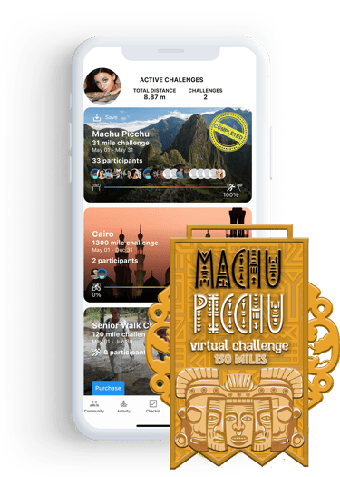 virtual challenge -  Machu Piccu