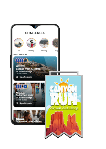 virtual challenge -  Grand Canyon
