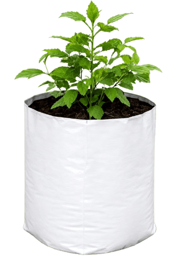 Durable LLDPE Grow Bags for Terrace Garden