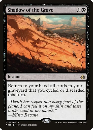 Magic: The Gathering Shadow of the Grave card featuring a skeleton shadow cast on a desert landscape.