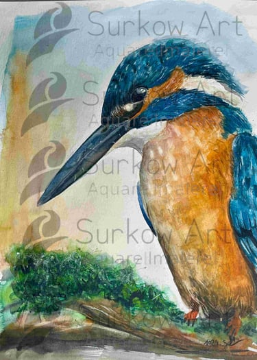 aquarell-eisvogel-surkow-art-paul-surkow