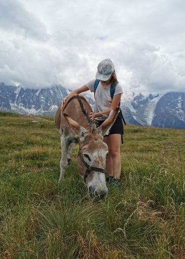 Manipulation ostéopathique Pays Basques, Formation ostéopathique, Ostéopathie animale