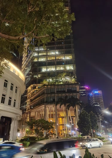 Singapour centre ville Jardin suspendu