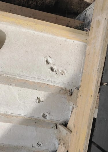 Įspaustos katės pėdos betone