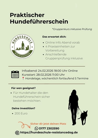 Das Bild zeigt den Flyer Gruppenkurs praktischer Hundeführerschein der Hundeschule ResistanceDog in