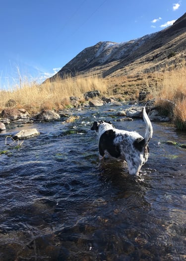 Shallow long and warm Eagleville Hot Springs