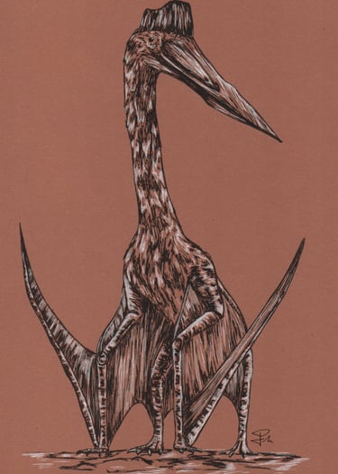 a sketch of a quetzalcoatlus