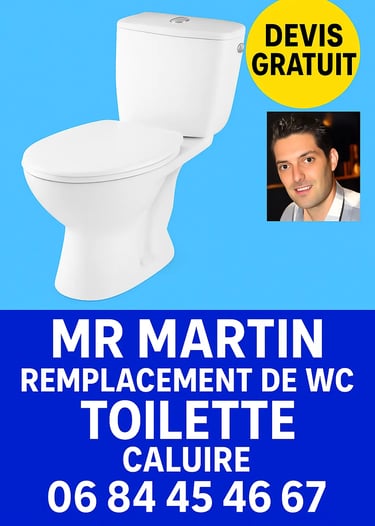 plombier installation toilette wc chasse robinet urgence wc caluire 69300