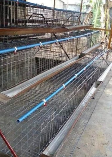 Battery cage 