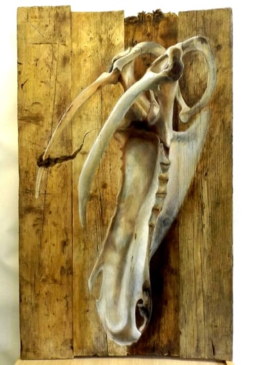 An image of the painting 'Flown' - depicting the skeleton of an unidentified sea bird painting on a wooden board panel