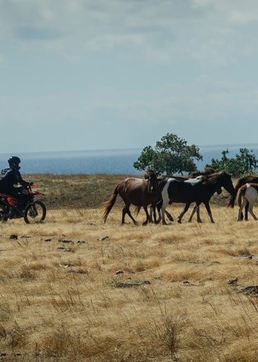 Sumba Dirt Bike Adventure