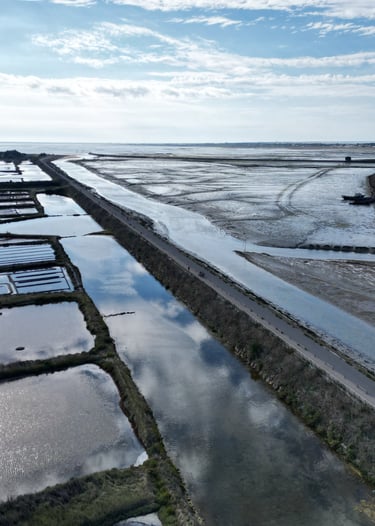 Marais salants (Noirmoutier)
