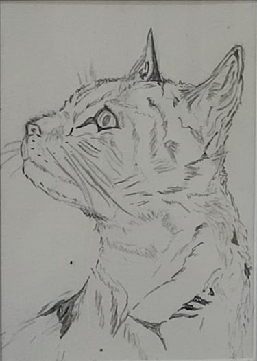 Retrato a lápiz de una gata, 'Pimienta', la gata del autor Óscar Ocaña Parrón, hecho por él