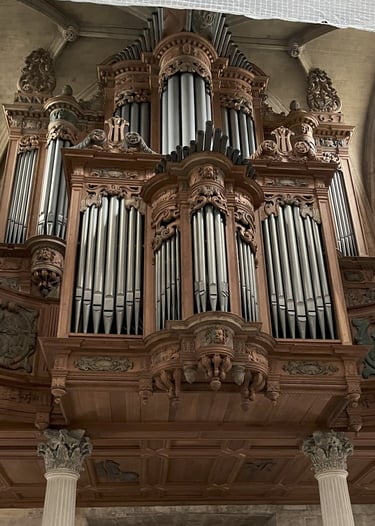 Large Organ
