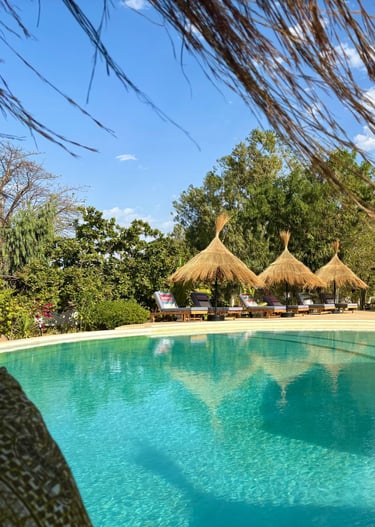 Vue de la piscine et du bar de l'hôtel de luxe, Maison Fimela, situé dans le Sine Saloum