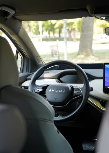 auto reinigen lassen leibnitz, auto putzen leibnitz, wie bekomme ich flecken von sitzen leibnitz,