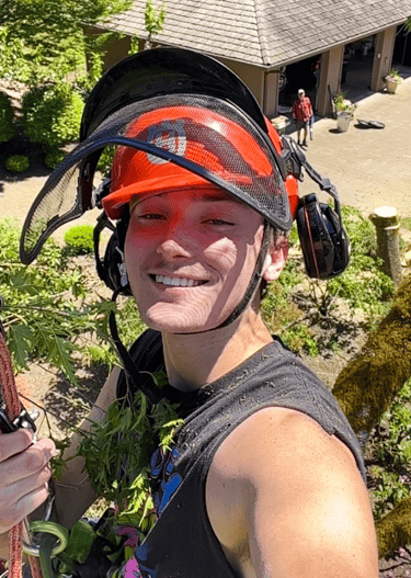 Arborist in a tree wearing an orange helmet