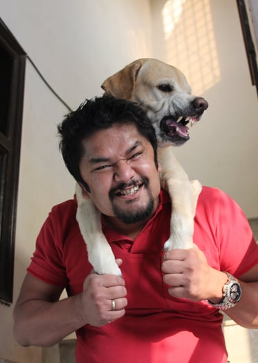 Dog Boarding, Dog Boarding near me, Pet Boarding, Pet Boarding near me, Dog Care, Happy Pettings