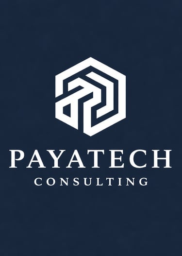 Payatech Consulting Sanaz Ahmadi
