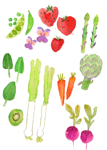 fruits et légumes aquarelle lyon
