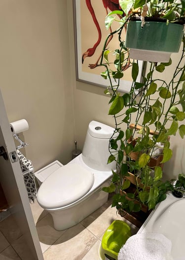 a bathroom with a toilet and a potted plant