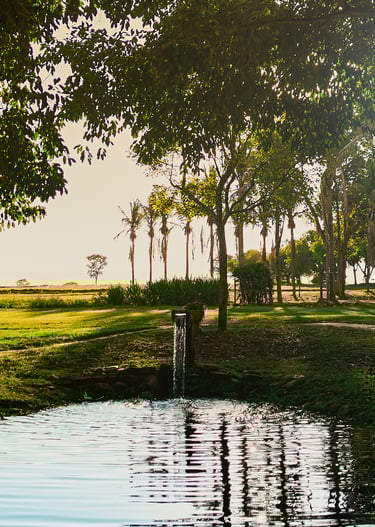 Fazenda Lumiar - paisagem