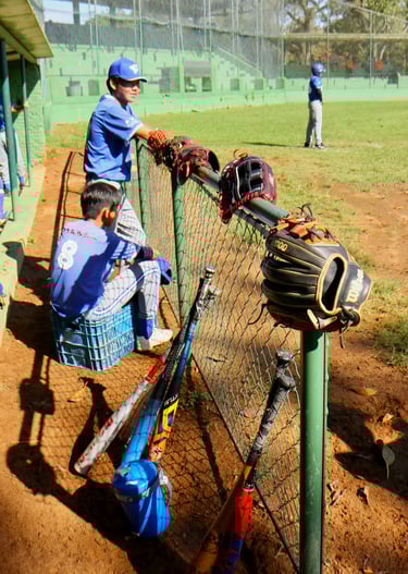 nippon blue jays time