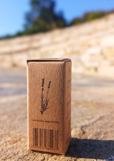 Greek lavender essential oil organic Anthos Botanicals 2