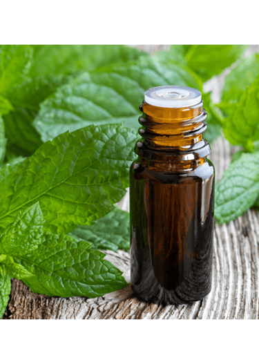 a bottle of peppermink essential oil