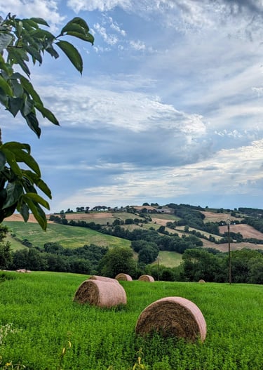 Un champ avec des balles de foin et en arrière plan les collines aveyronnaises