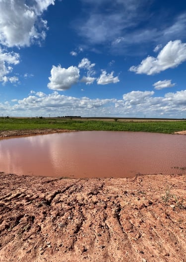 New farm pond
