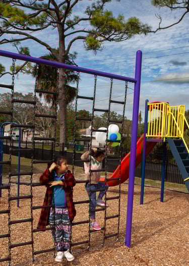 Children climbing park ladder