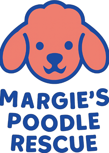 Margie's mini poodle and toy poodle rescue