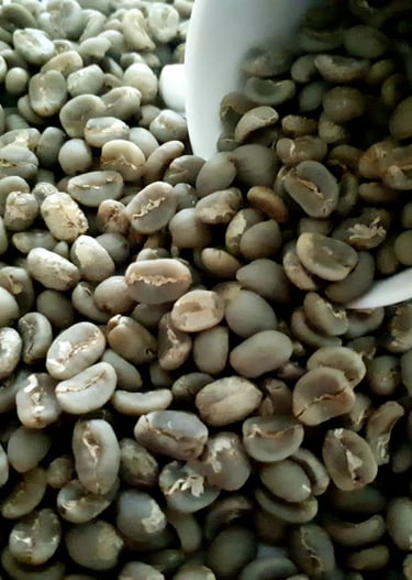 Arabica green bean coffee Sumatera non skin, non roasting