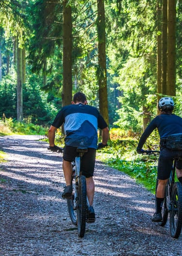 Cours VTT adultes et enfants en forêt de Vallée de Chevreuse