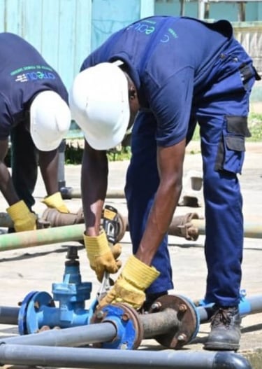 Plombiers en uniformes réparant un système de canalisation d'une entreprise à Yaoundé au Cameroun