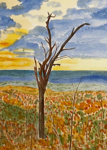 Original watercolor painting of a solitary tree leaning right in an autumn Shenandoah landscape