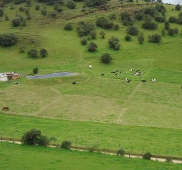 Diseño de potreros para ganaderia