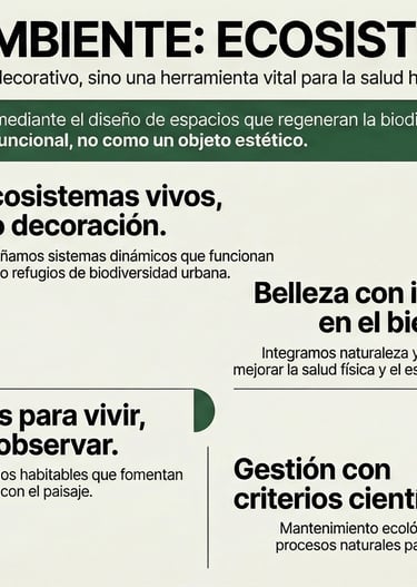 Principios Fundacionales