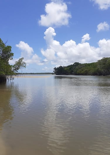 Crôa do Goré: encanto natural de Aracaju-SE