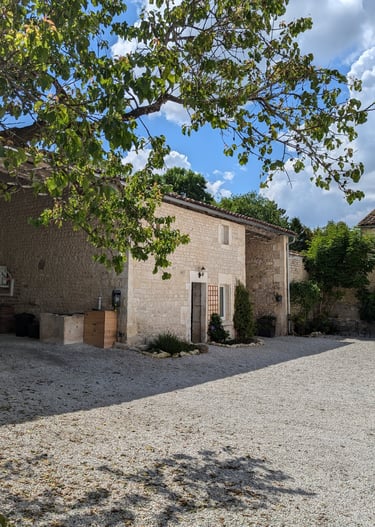 a courtyard with a tree and a building